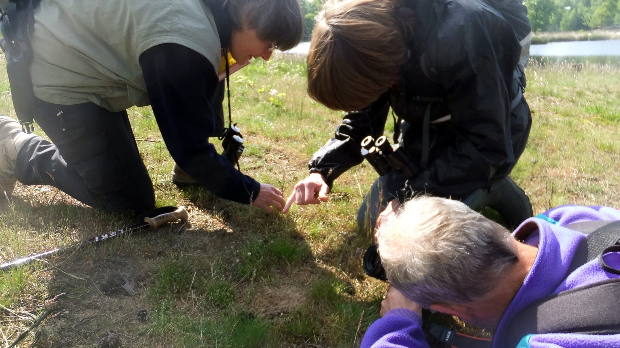Plantenwerkgroep