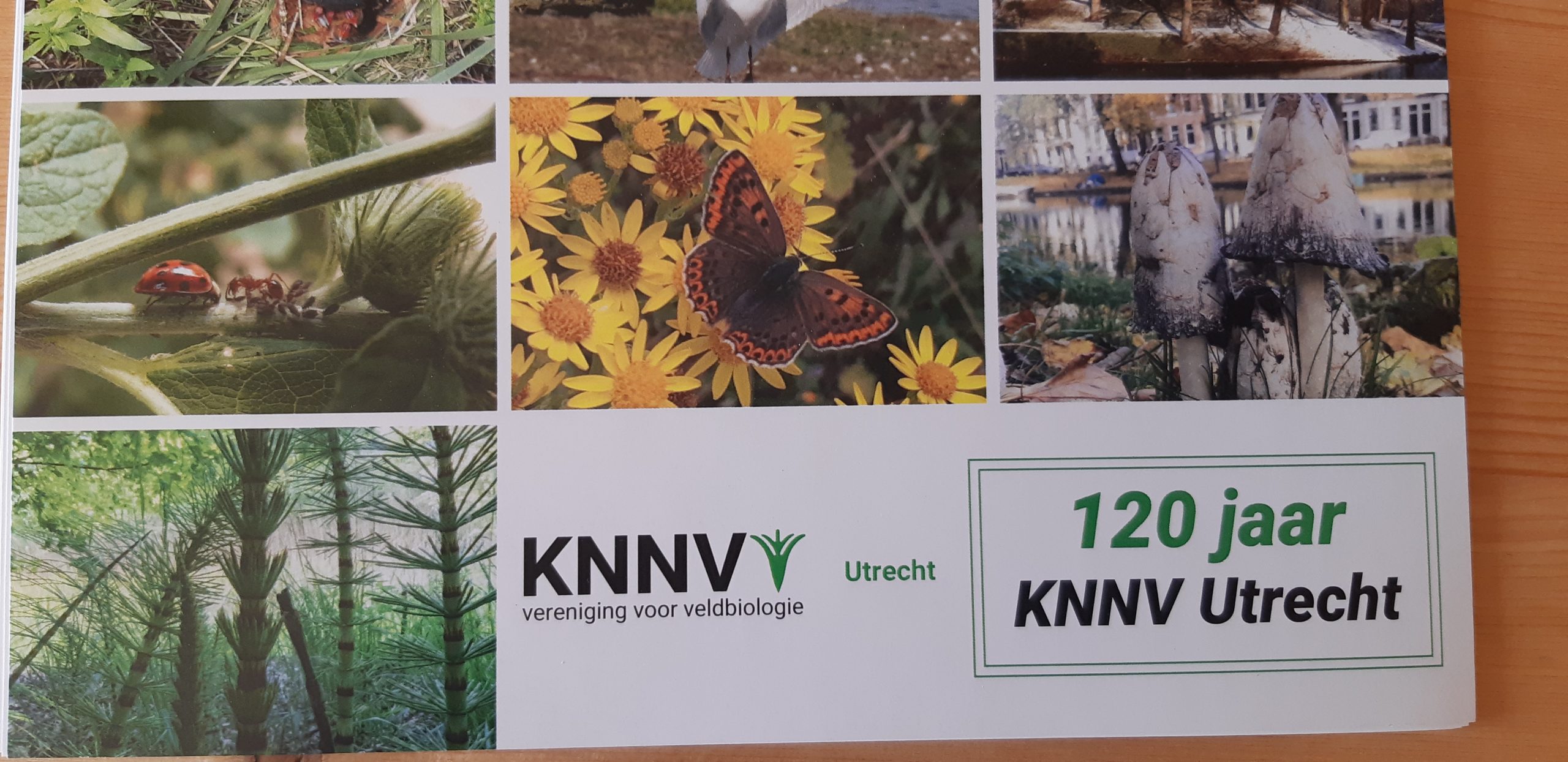 Kalenderfoto’s