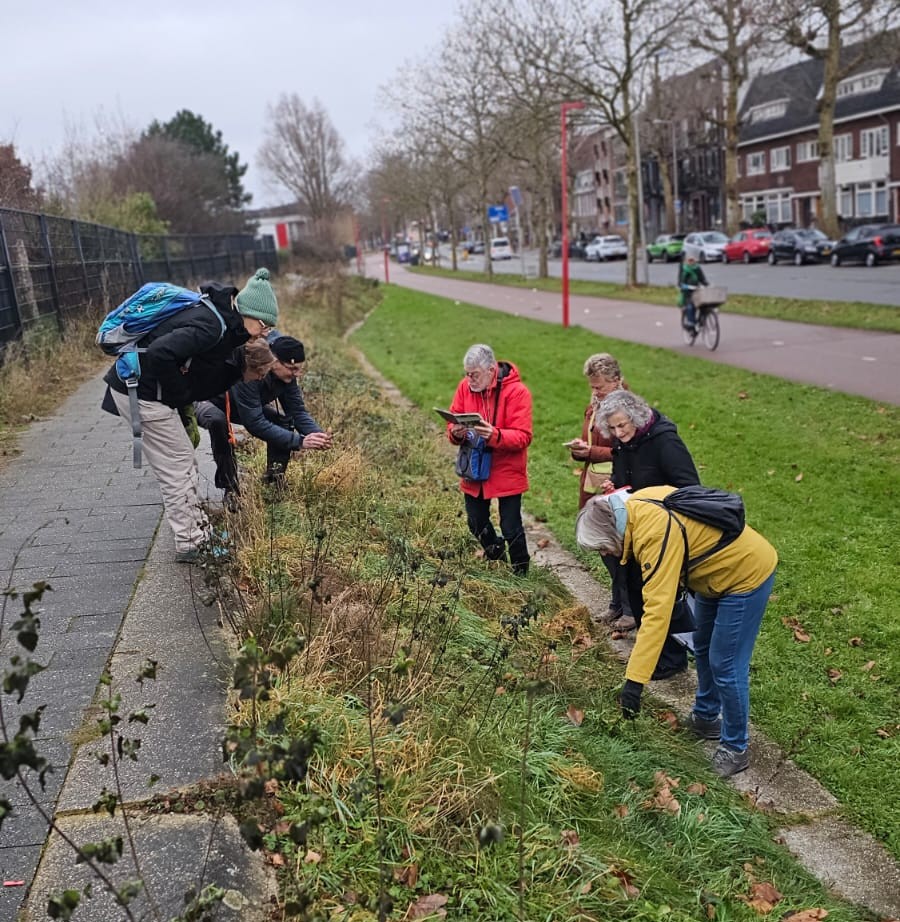 Plantenwerkgroep Jaarverslag 2025