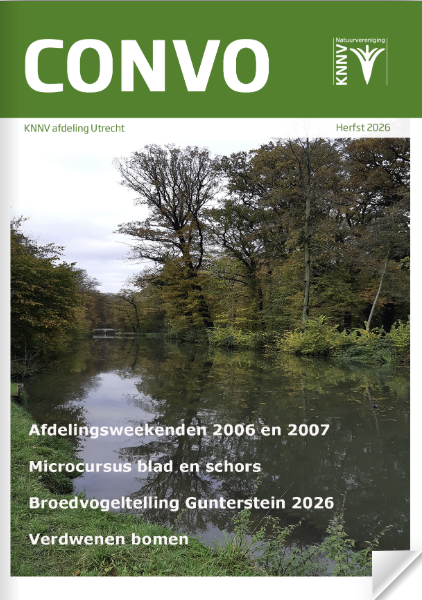 Convo Herfst 2026 is uit