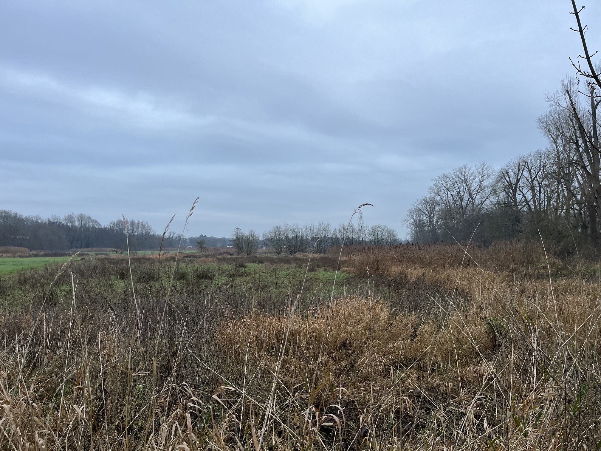 Winterwandeling Stoetwegenpad (6,5 km of 11 km)