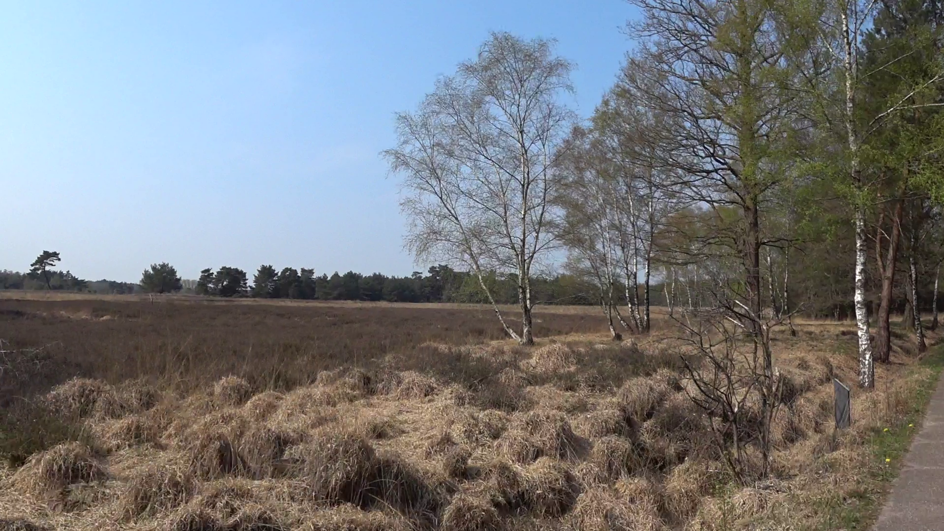  NS-wandeling Utrechtse Heuvelrug